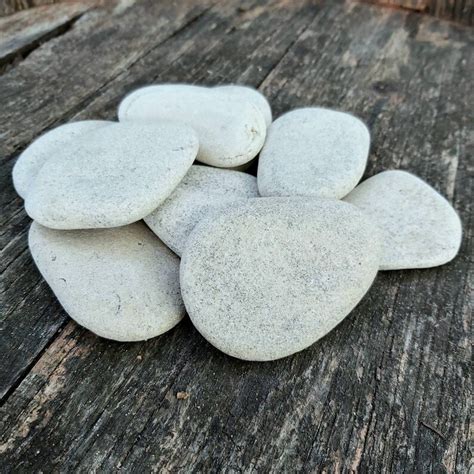 Large Flat Beach Pebbles 10 Pieces Size 24 31 Etsy