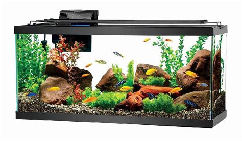 Acrylic Fish Tank For Decoration Feature Durable Reinforced Pvc