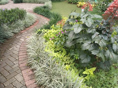 Tropical Landscape Garden Shrubs With A Combination Of Plant Types