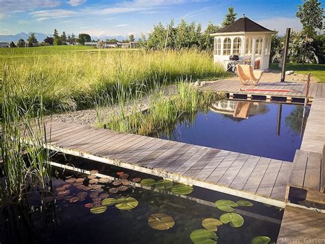 Wie sie einen schwimmteich im garten anlegen. Schwimmteich im eigenen Garten: Vorteile, Einrichtungsiden ...