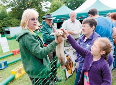 Hurst Show And Country Fayre 2016 Photo 5 Of 10 Maidenhead Advertiser