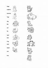 Animals Worksheet Insects Mistake Found sketch template