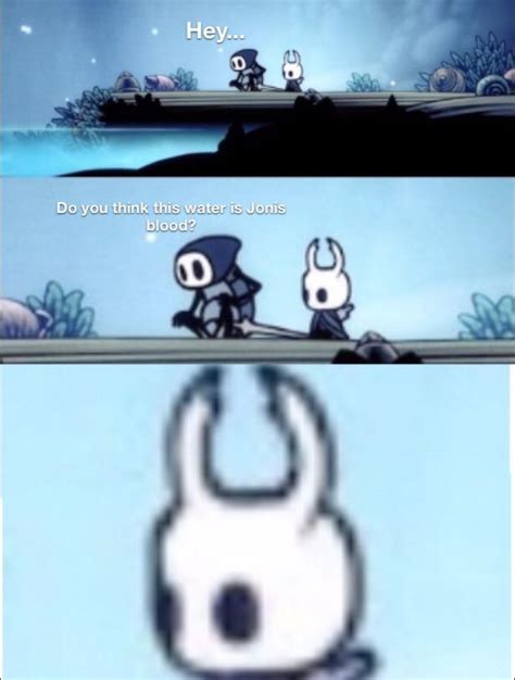 195 Best Quirrel Images On Pholder Hollow Knight Hollow Knight Memes