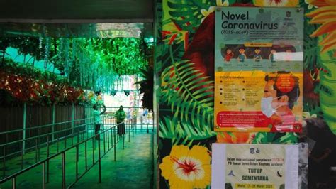 *grup telegram ribuan video indoasia & foto model indo *link mega ribuan file premium. Kebun Binatang Surabaya Tetap Tutup Meski PSBB Berakhir