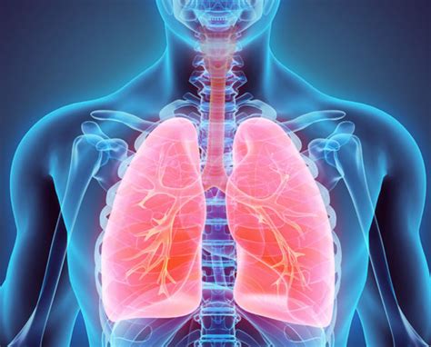 Chronic Obstructive Lung Disease Cases In India Up From 28 To 55