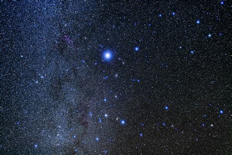 The Constellation Of Canis Major Photograph By Alan Dyer Pixels