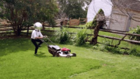 Grass Mower GIF Grass Mower Mowing Discover Share GIFs