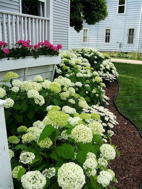 Low maintenance potted plants landscaping idea 13. 36 Cheap Front Yard Landscaping Ideas That Will Inspire ...