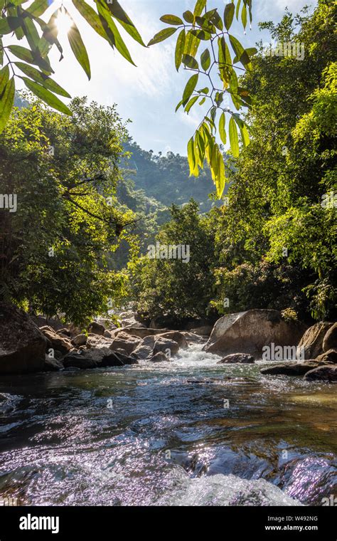 Waterfall Water Flow In Rocks With Green Forests This Image Is Taken