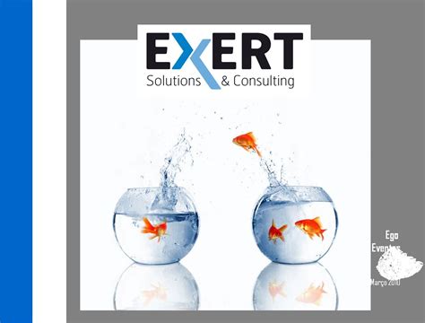 Exert Solutions & Consulting