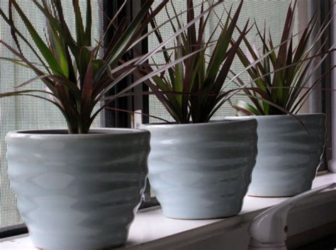 Check spelling or type a new query. Windowsill Flower Pots