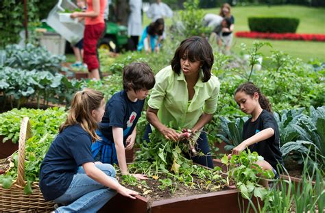 Can Green Spaces At Schools Make Children Smarter The Washington Post