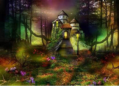 Forest Enchanted Background Fantasy Castle Flower Lantern
