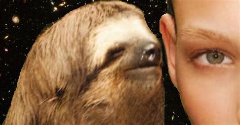 Space Sloth Imgur