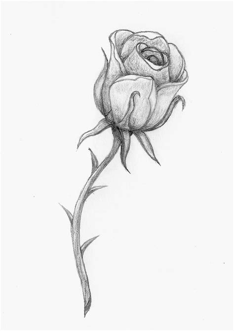 A Rose By Any Other Name By Balloon Fiasco On Deviantart