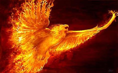 Unraveling The Mystery Of The Phoenix The Bird Of Immortality