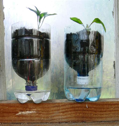 How To Make A Self Watering Pot Out Of An Old Plastic Bottle Self