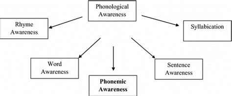 The Five Sub Components Of Phonological Awareness Download Scientific