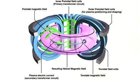 C'est d'ailleurs pourquoi le cèdre rouge (ou red cedar) est privilégié pour la fabrication de ce type de spa d'extérieur. C'est quoi un Tokamak ? - Cours | Projets Divers