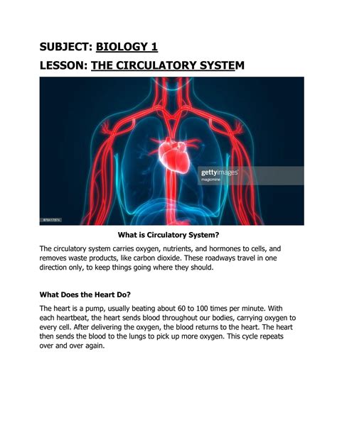 Solution Biology 1 The Circulatory System Studypool