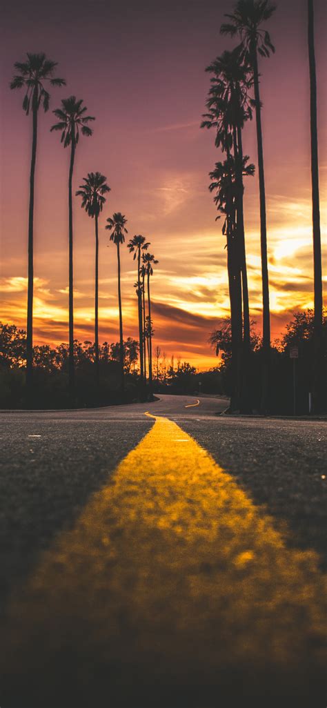 1125x2436 Road In City During Sunset Iphone Xsiphone 10iphone X Hd 4k