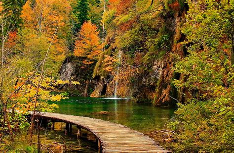 1080p Free Download Log Bridge In Plitvice Lake Autumn Park Trees