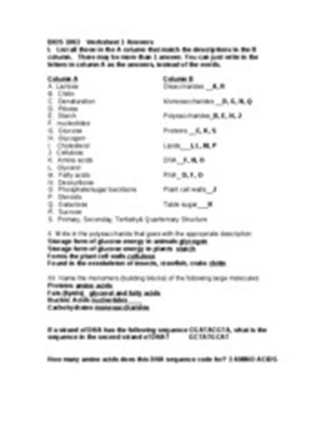 Student exploration meiosis gizmo answer key. 16 Best Images of Building Macromolecules Worksheet Answer ...