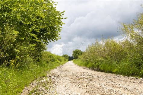 Gravel Road In A Forest Leading To A Mountain Stock Photo Image Of