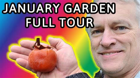 Garden Tour January 2021 With Organic Gardening In North Carolina Youtube