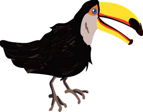 Toco Toucan Bird Clipart Free Download Transparent Png Creazilla