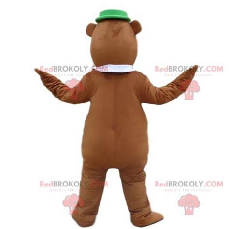 Yogi Mascot The Famous Cartoon Bear Yogi Costume Sizes L 175 180cm