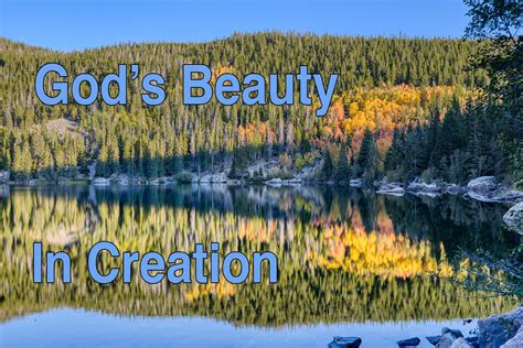Beauty in Creation Podcast - Visual Bible Verse of the Day