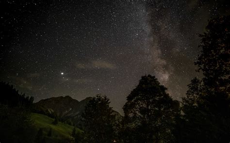 Download Wallpaper 1440x900 Starry Sky Stars Trees Mountains Night