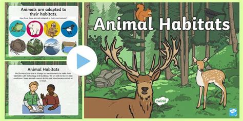 Animal Habitats Powerpoint Habitat Primary Resources Animal