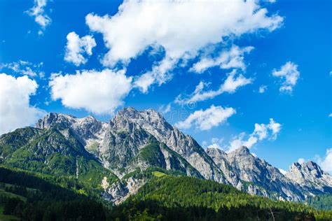 Mountain Peaks Green Meadows And Pine Trees In Tyrol Alps Stock Photo