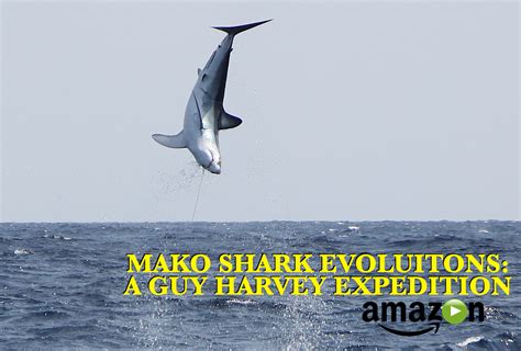 Mako Makoshark Shark Guyharvey Guy Harvey Adventure