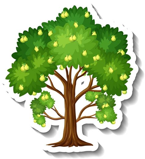 Pear Tree Sticker On White Background 2882380 Vector Art At Vecteezy