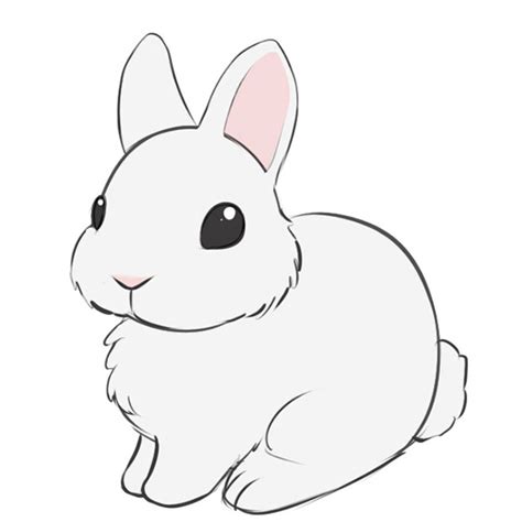 How To Draw A Bunny Easy Drawing Tutorial For Kids
