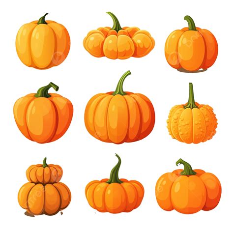 Vector Illustration Of A Set Of Pumpkins Of Different Shapes For