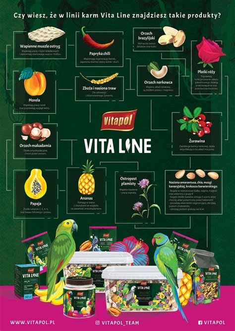 Vitaline For Parrots Infographic And Netbook On Behance