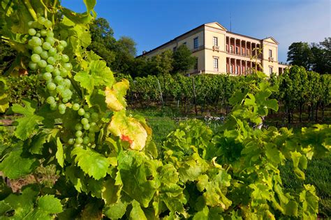 Der garten eden (sumerisch guan eden rand der himmlischen steppe, hebr. Pfälzer Weinland: Genusswandern im Garten Eden der Pfalz ...
