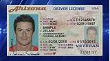Driver License Record Online Photos