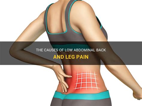 The Causes Of Low Abdominal Back And Leg Pain Medshun