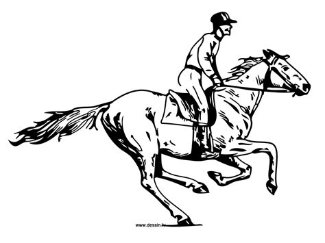 Riding A Horse Drawing At Getdrawings Free Download