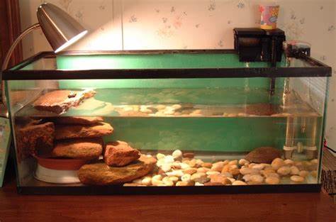  Turtle Indoor Habitat Pet turtle tank habitat & cage how to setup