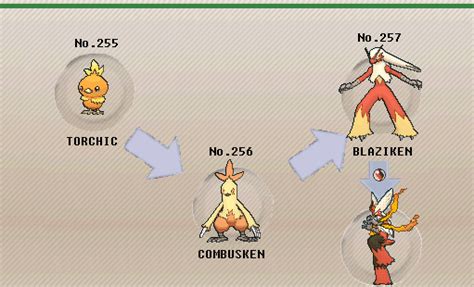 Pokemon Blaziken Evolution