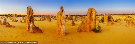 The Pinnacles Desert At Sunrise Nambung National Park Wa Australia
