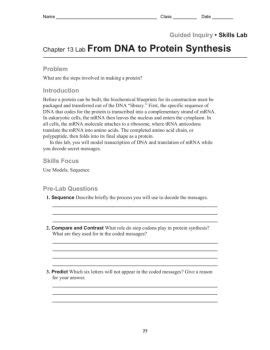 The exons are the part that get linked together and go on to be translated into proteins. Guided Inquiry Skills Lab Chapter 13 Lab From DNA to ...