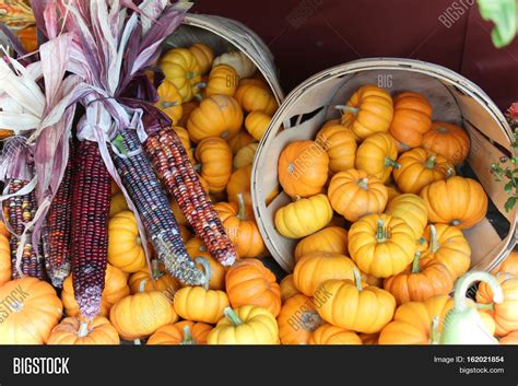 Fall Harvest Dried Image And Photo Free Trial Bigstock