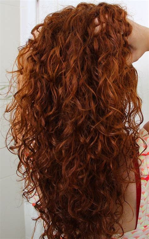 54 best type 2c 3a curly hair images on pinterest red hair redheads and red heads